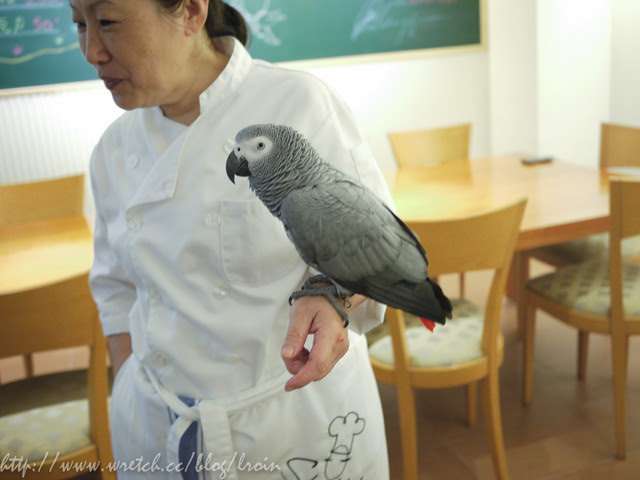 <美食>堅持美味-讓我連續去六次的好餐廳- Shaffer's Kitchen雪飛詩歐廚