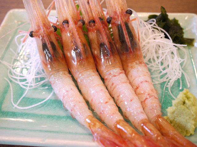 <旅遊>丁小雨十八天日本自由行＊札幌～中央水產市場瘋狂海膽蓋飯我來了