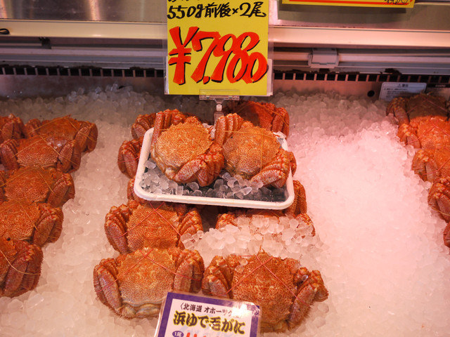 <旅遊>丁小雨十八天日本自由行＊札幌～中央水產市場瘋狂海膽蓋飯我來了