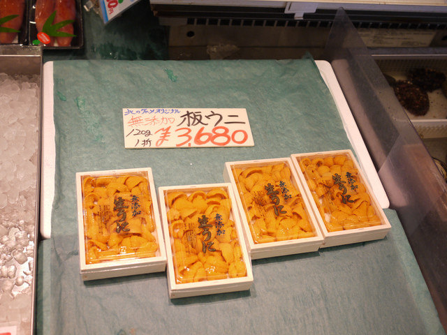 <旅遊>丁小雨十八天日本自由行＊札幌～中央水產市場瘋狂海膽蓋飯我來了