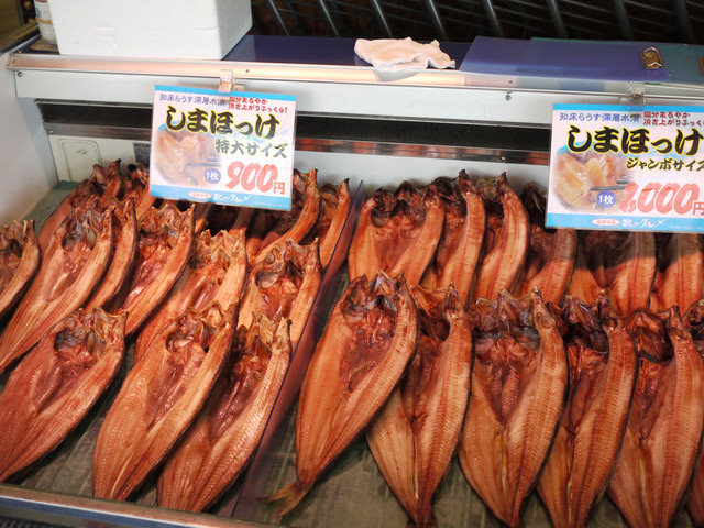 <旅遊>丁小雨十八天日本自由行＊札幌～中央水產市場瘋狂海膽蓋飯我來了