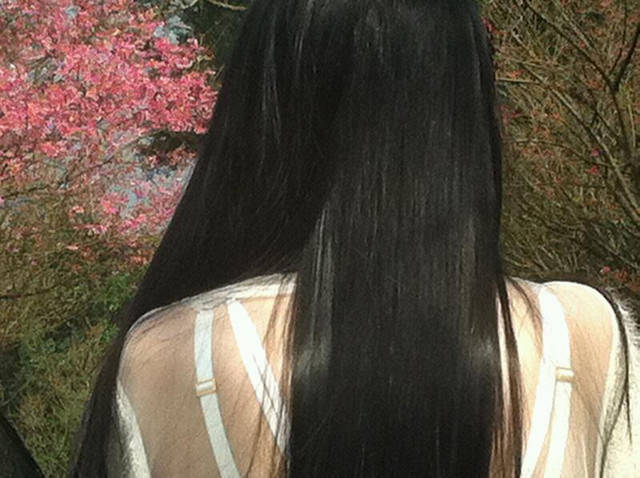 <旅遊>今年我沒種上武陵～可是我也有賞到櫻～三芝櫻花路道