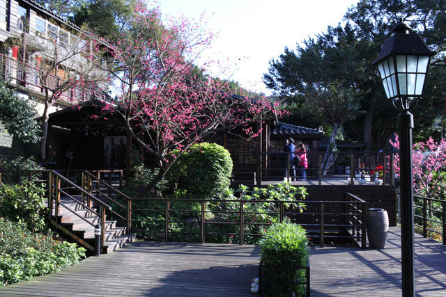 <遊記>少帥禪園午茶賞櫻溫泉泡腳半日遊