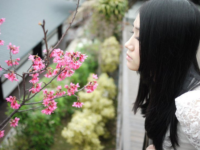 <遊記>少帥禪園午茶賞櫻溫泉泡腳半日遊