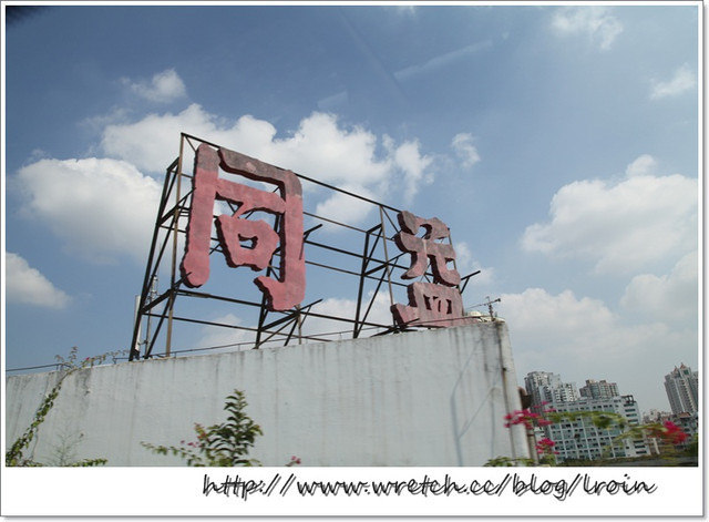 <試用>AVIVA完美乳清(精華液)-短程出國帶這罐就夠了