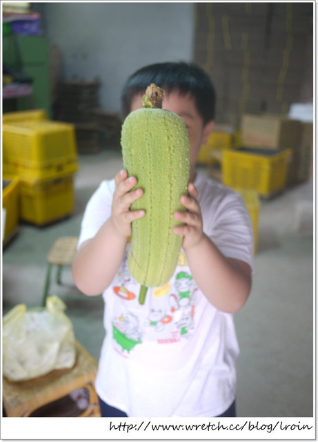 <穿搭>美蘭梨園農婦裝搭介紹